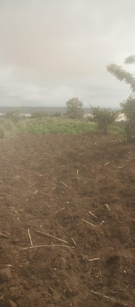 Vente de lots de 400 et 500 m2 à Bingerville, 12 millions. Ces lots
